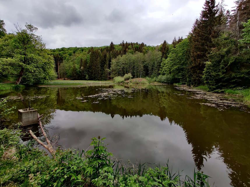 Wanderung um Neustadt