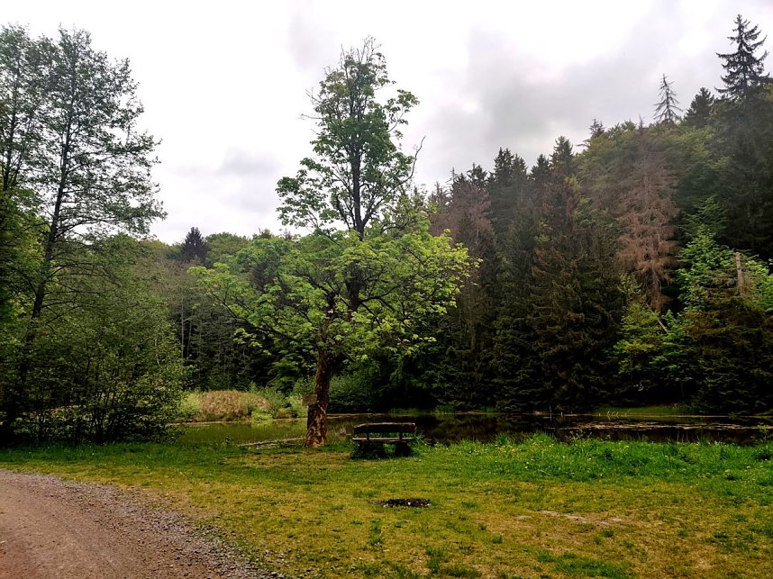 Wanderung um Neustadt