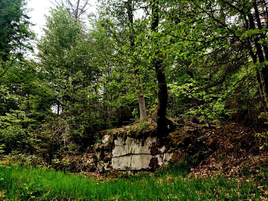 Wanderung um Neustadt