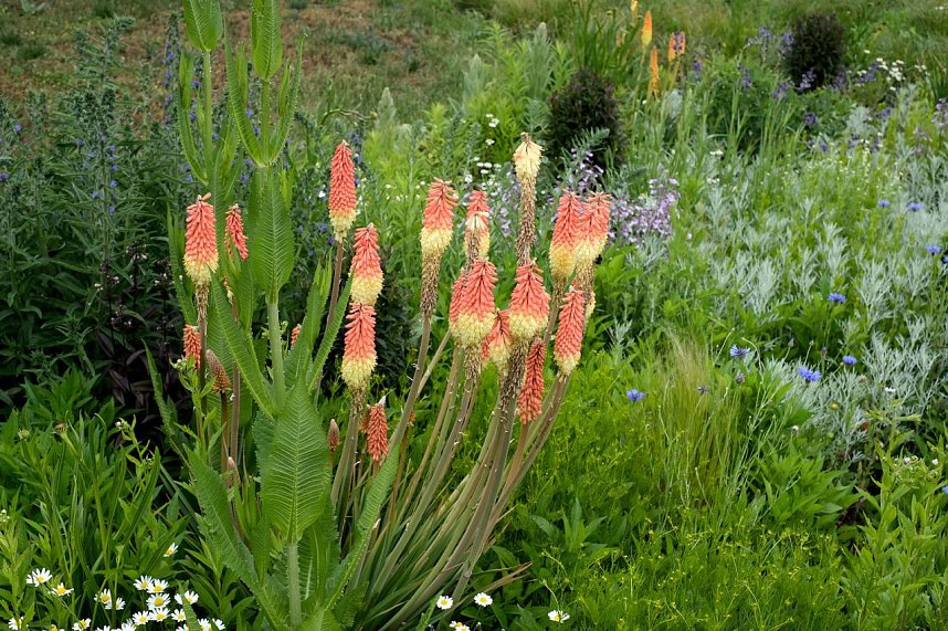 Impressionen vom Petersberg