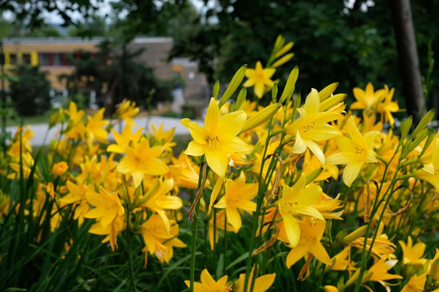 Impressionen vom Petersberg