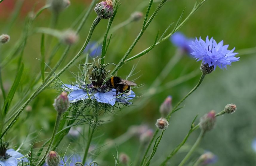 Impressionen vom Petersberg
