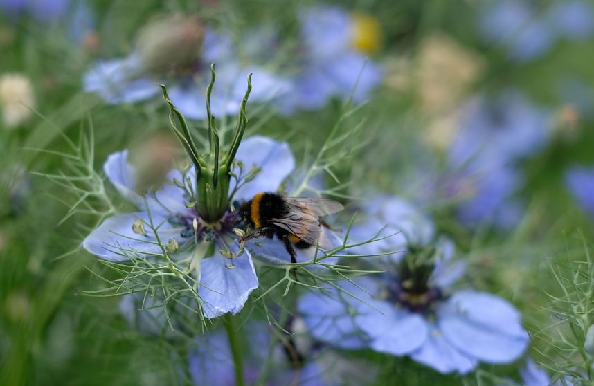 Impressionen vom Petersberg