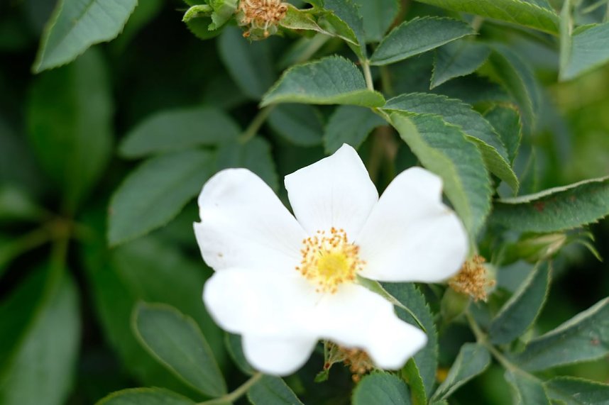 Impressionen vom Petersberg