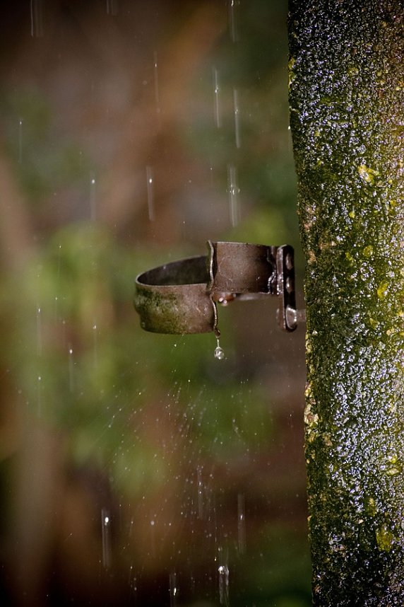 Es war einmal in Heringen...