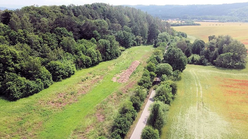 Peter Blei mitten im Mohn