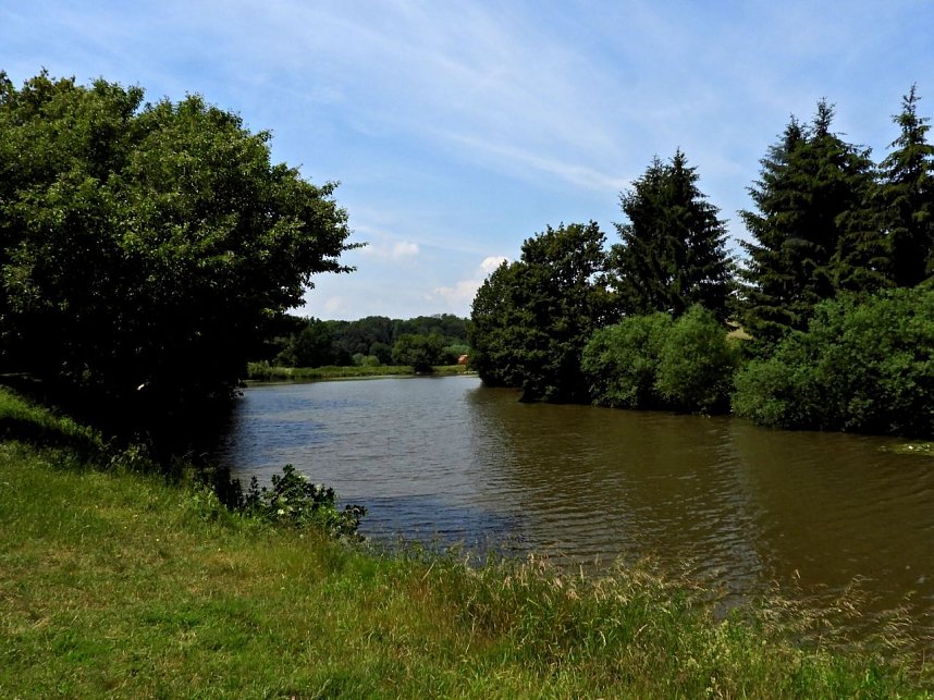 Peter Blei am Neust&auml;dter Rosenteich
