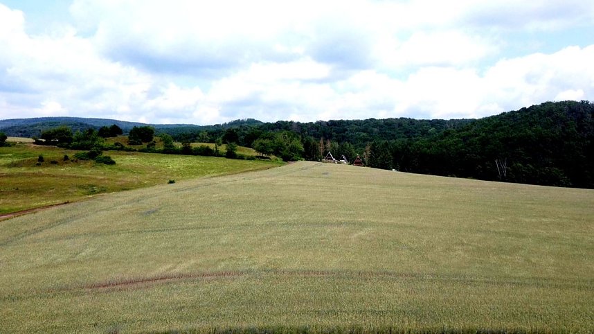 Peter Blei am Neust&auml;dter Rosenteich