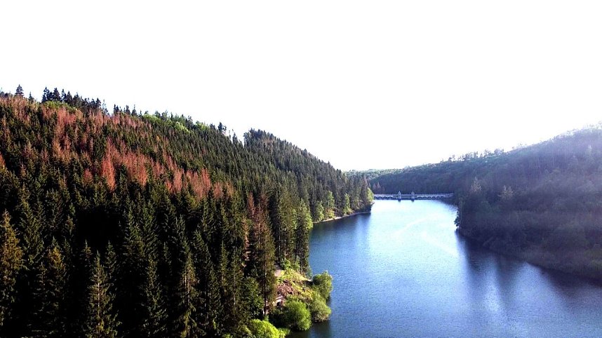 Peter Blei unterwegs an der Neust&auml;dter Talsperre