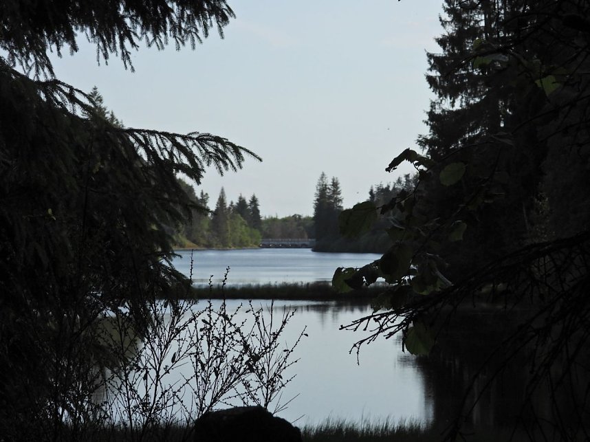 Peter Blei unterwegs an der Neust&auml;dter Talsperre