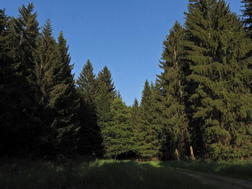Peter Blei unterwegs an der Neust&auml;dter Talsperre