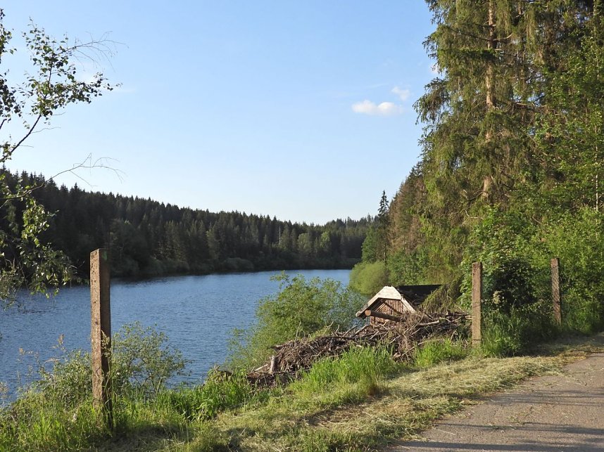Peter Blei unterwegs an der Neust&auml;dter Talsperre