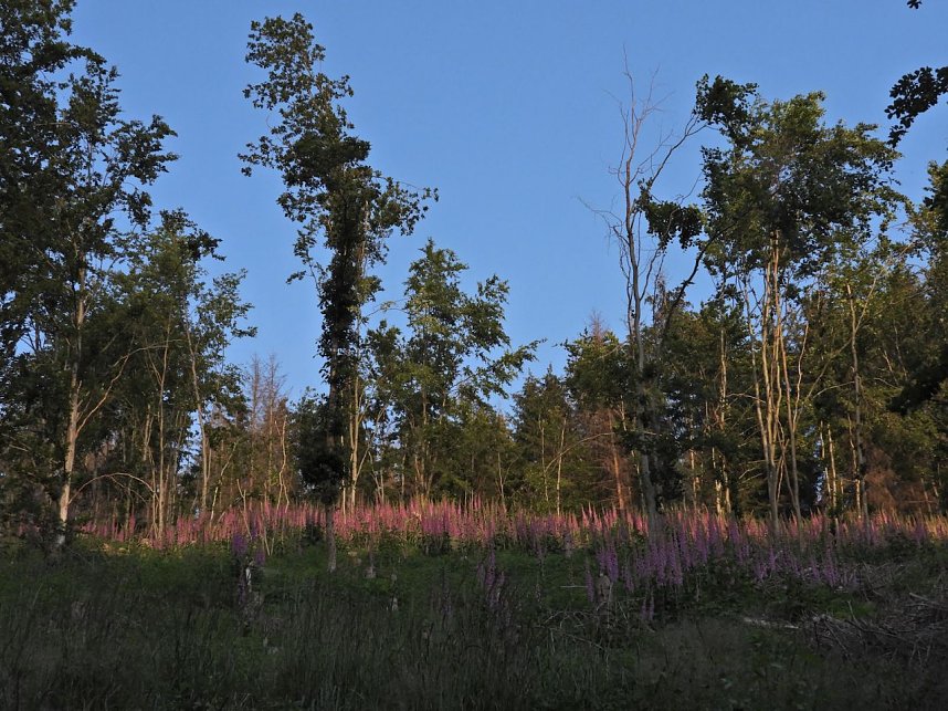 Peter Blei unterwegs an der Neust&auml;dter Talsperre