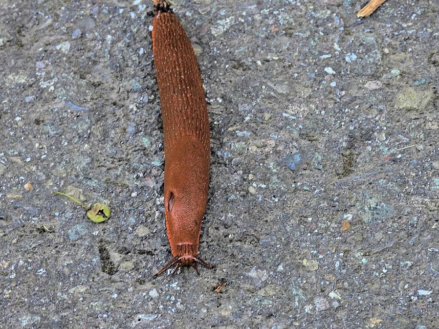 Peter Blei unterwegs an der Neust&auml;dter Talsperre