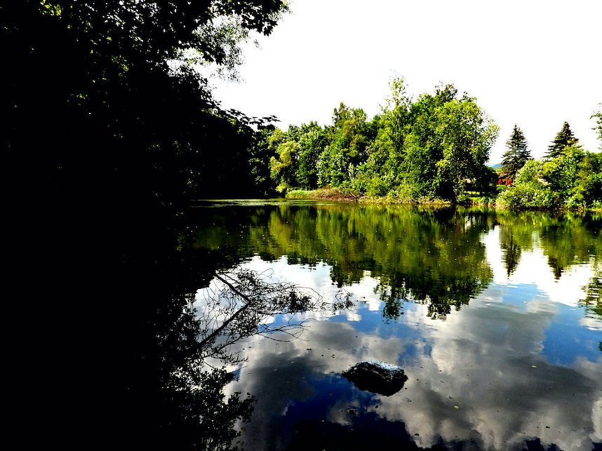 Tanzteich bei Niedersachswerfen
