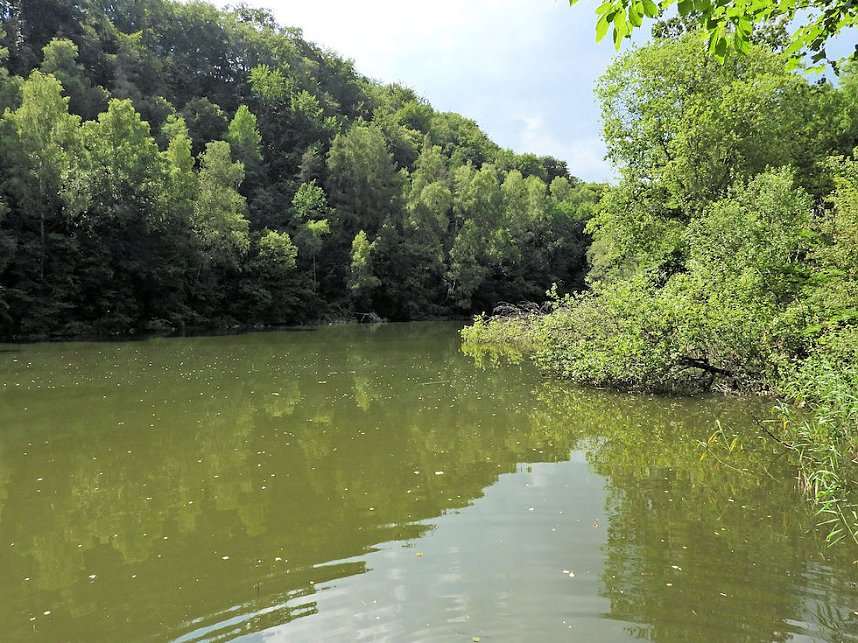 Tanzteich bei Niedersachswerfen