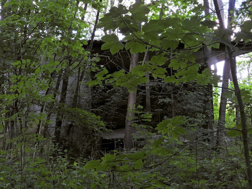 Tanzteich bei Niedersachswerfen