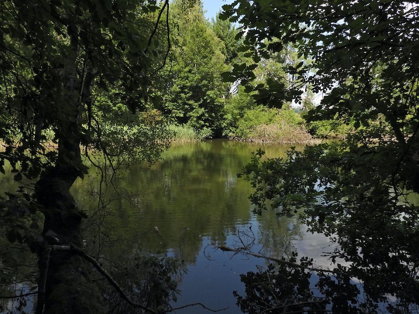 Tanzteich bei Niedersachswerfen
