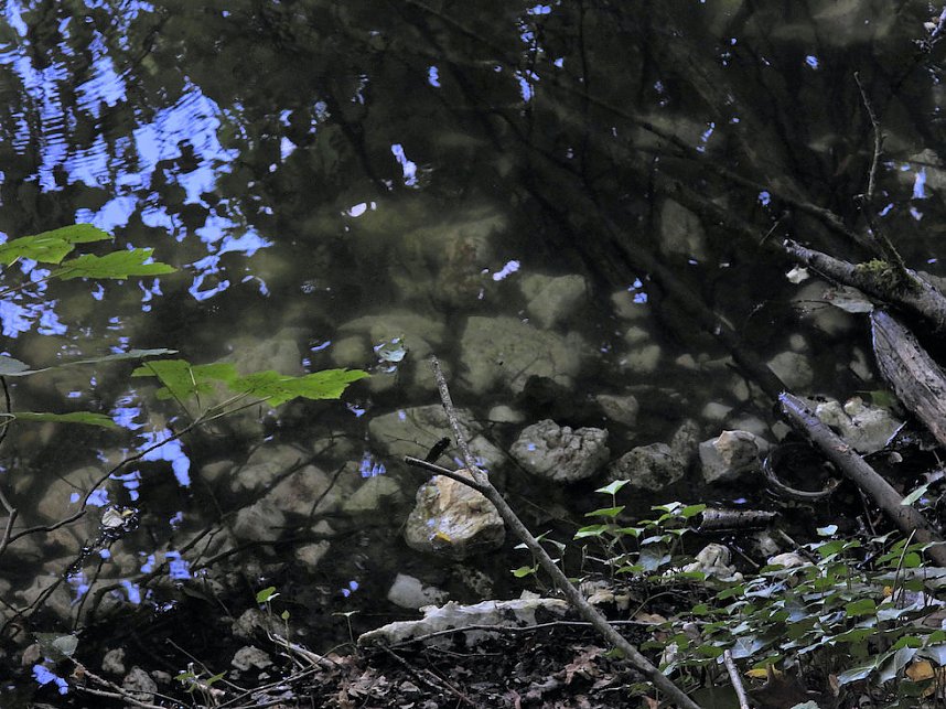 Tanzteich bei Niedersachswerfen