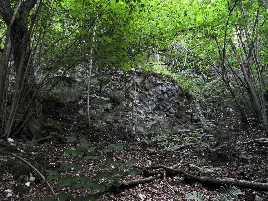 Tanzteich bei Niedersachswerfen