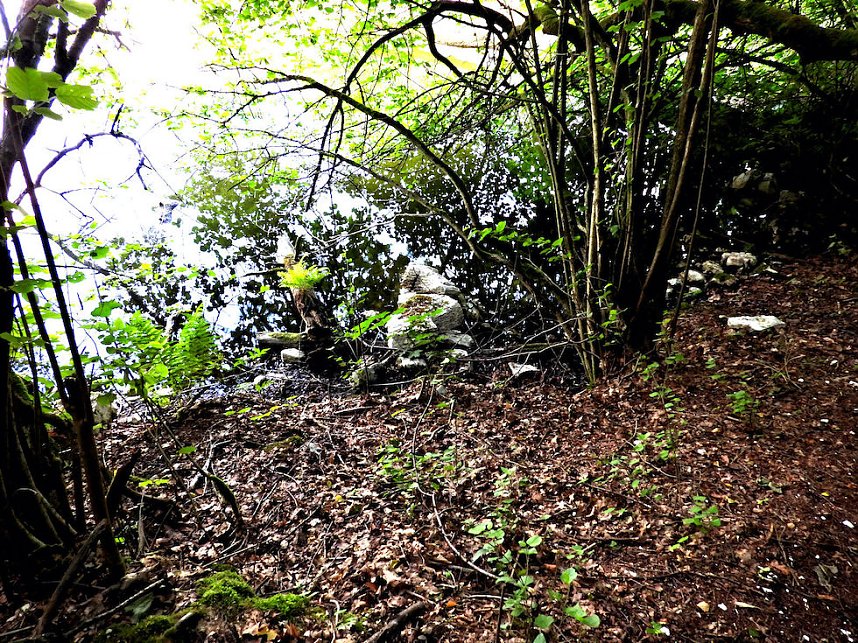 Tanzteich bei Niedersachswerfen