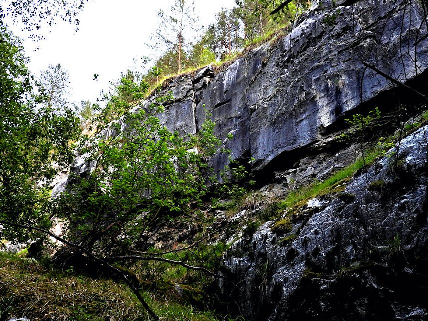 Tanzteich bei Niedersachswerfen