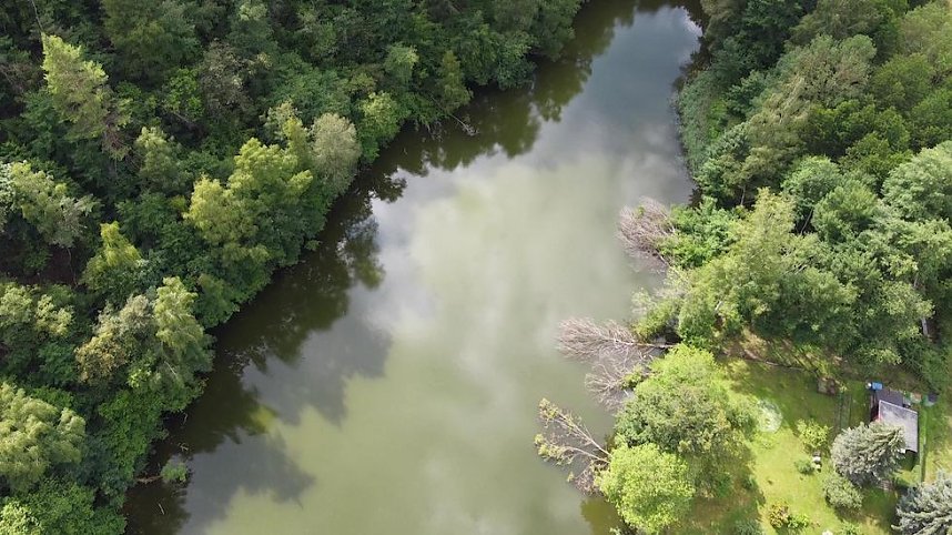 Tanzteich bei Niedersachswerfen