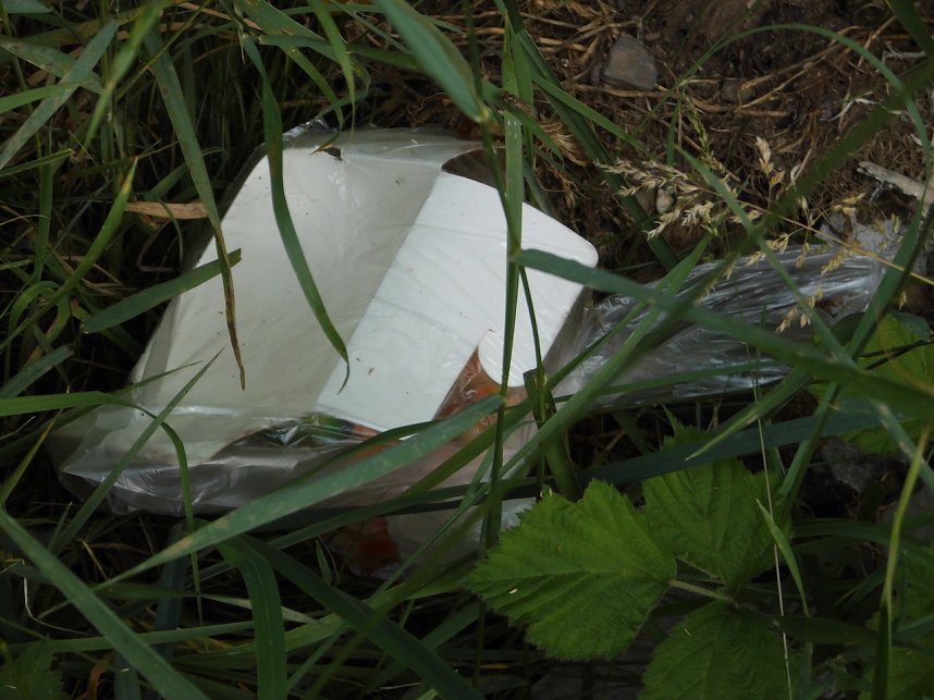 M&uuml;ll in der Landschaft