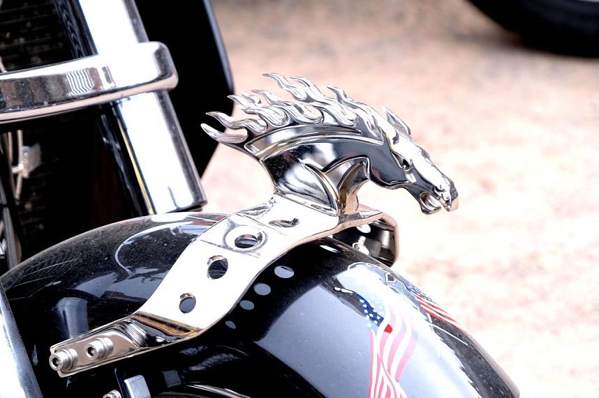 Die "Gro&szlig;en" kamen nach Hasselfelde