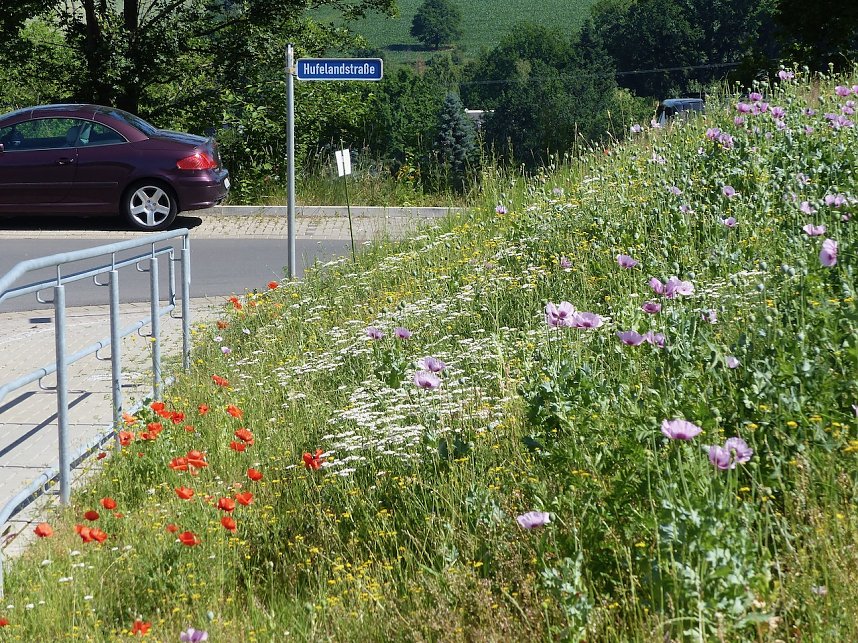 Familie Richter hat die SWG zu einem Bl&uuml;hwiesenprojekt inspiriert