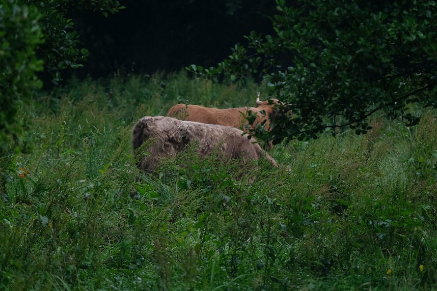 Abendspaziergang mit Kamera