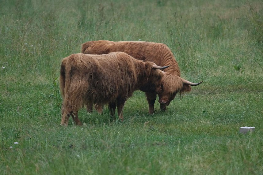 Abendspaziergang mit Kamera