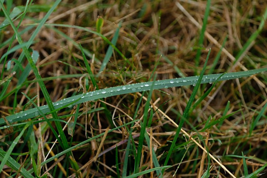 Abendspaziergang mit Kamera