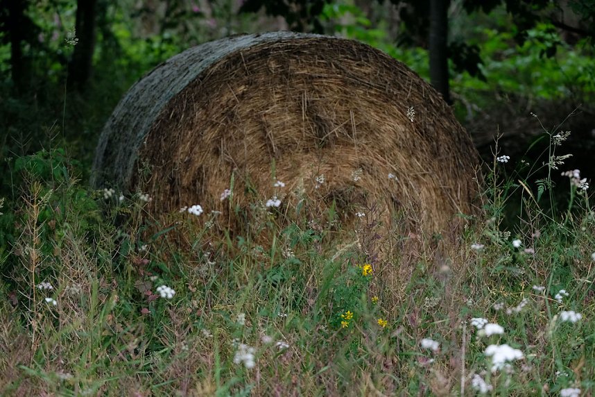 Abendspaziergang mit Kamera