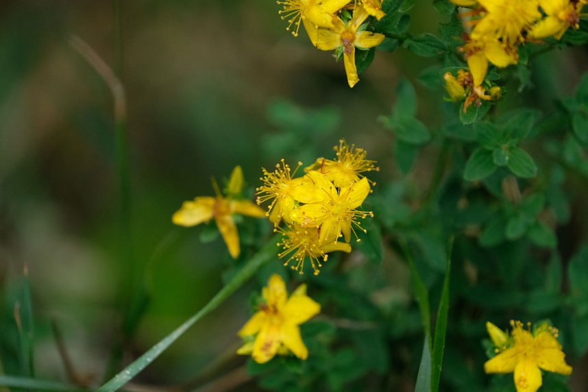 Abendspaziergang mit Kamera