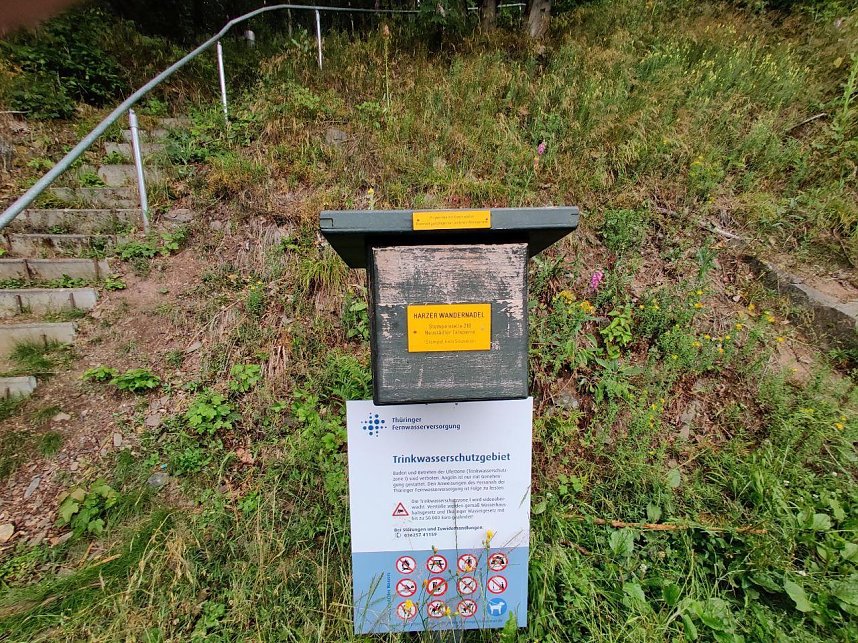 Abendspaziergang mit Kamera