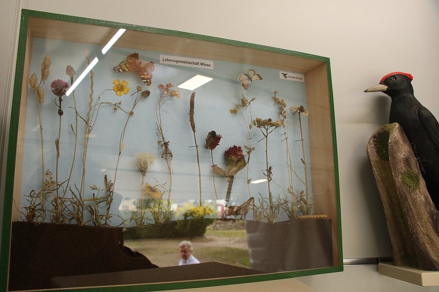 Der Landschaftspflegeverand S&uuml;dharz-Kyffh&auml;user ist demn&auml;chst mit mobilen Informationen rund um die Flora und Fauna des S&uuml;dharzes unterwegs