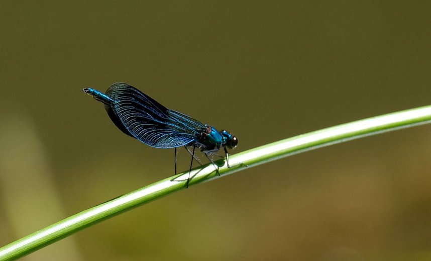 Peter Blei unterwegs an der Kalkh&uuml;tte