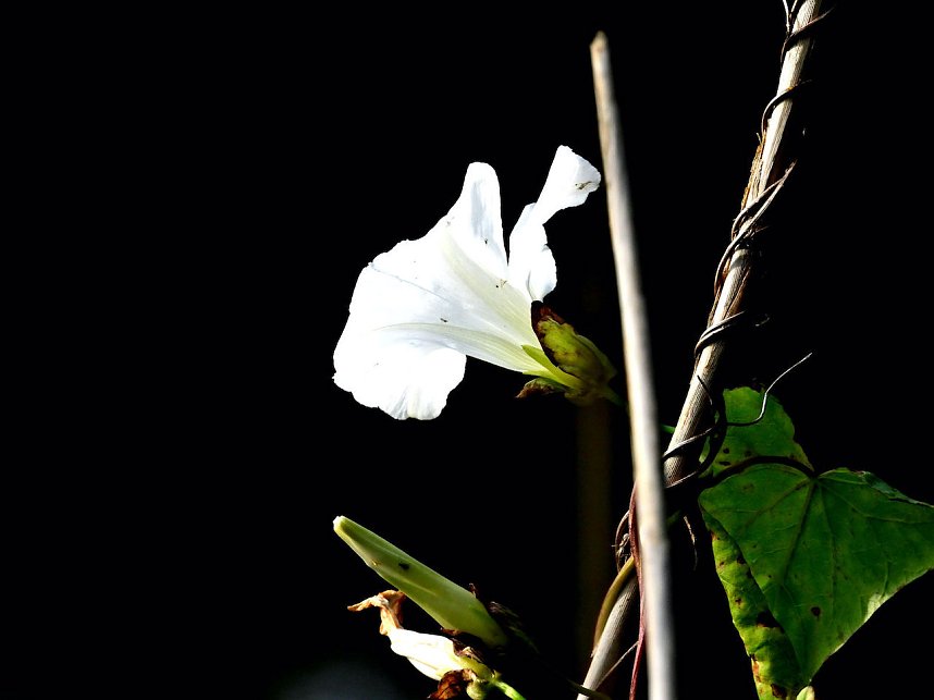 Naturwanderung bei Neustadt 