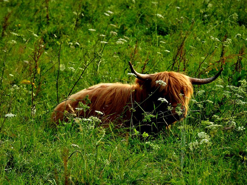 Naturwanderung bei Neustadt 