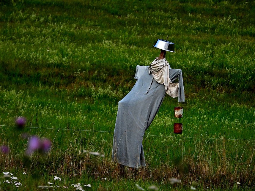 Naturwanderung bei Neustadt 