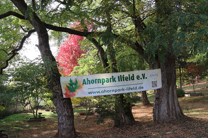 Ahornpark Ilfeld