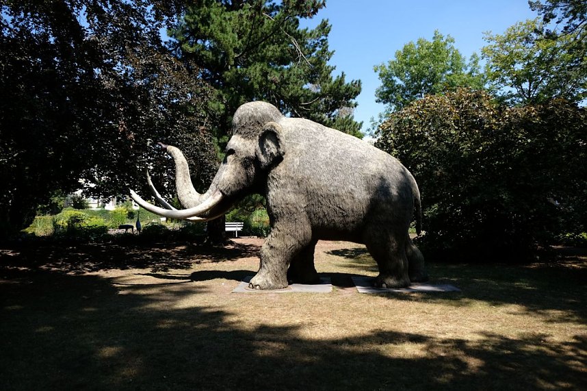 Park des Kunsthauses Meyenburg