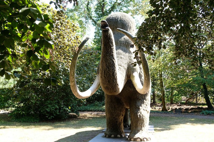 Park des Kunsthauses Meyenburg