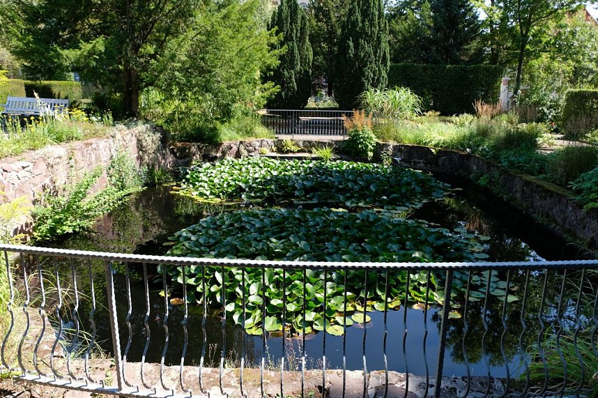 Park des Kunsthauses Meyenburg