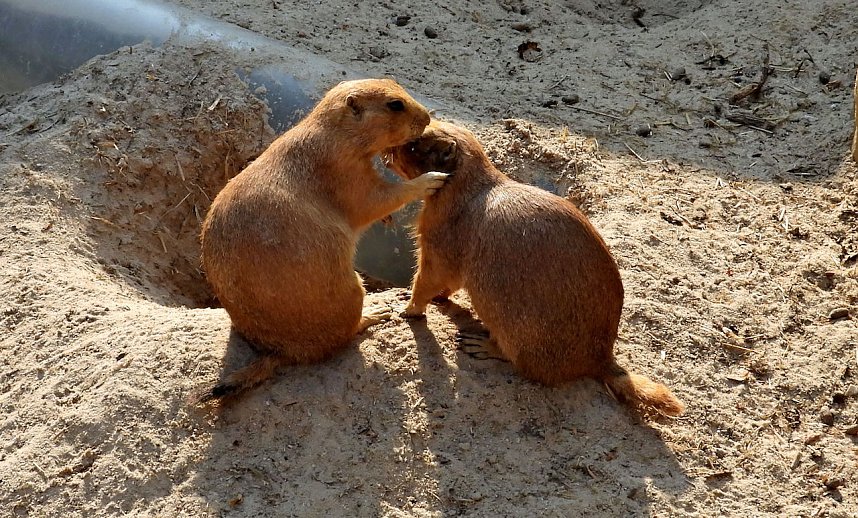 Unterwegs in Bad K&ouml;sen