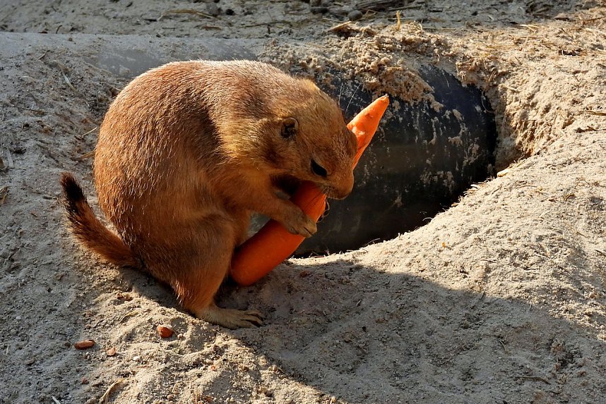 Unterwegs in Bad K&ouml;sen