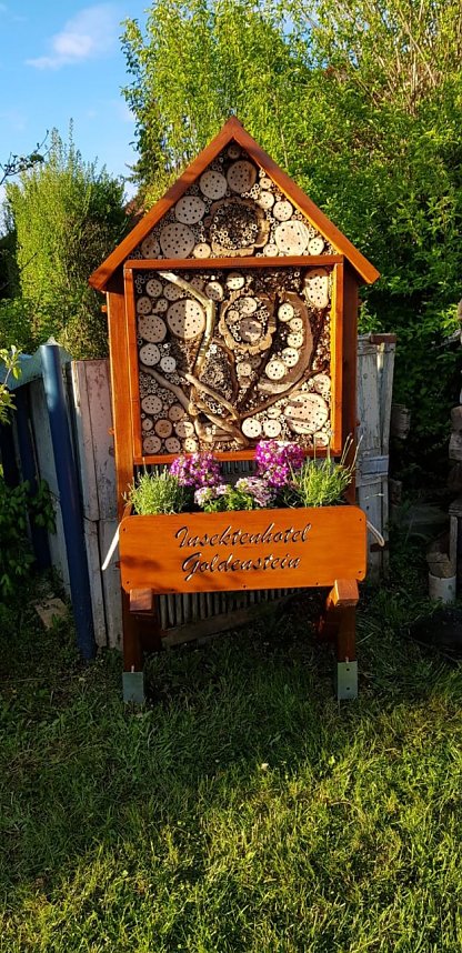 Die besten Insektenhotels im Wettbewerb