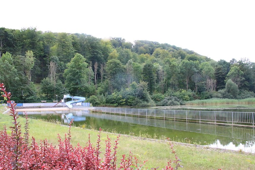 Was passiert im einst so sch&ouml;nen Teichtal bei Hainrode?