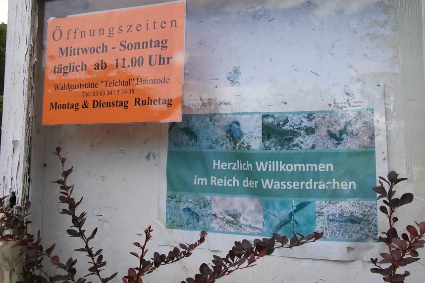 Was passiert im einst so sch&ouml;nen Teichtal bei Hainrode?